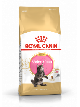 ROYAL CANIN Maine Coon KittenKarma Sucha Dla KocitDo 15 Miesica Rasy Maine Coon 400 g