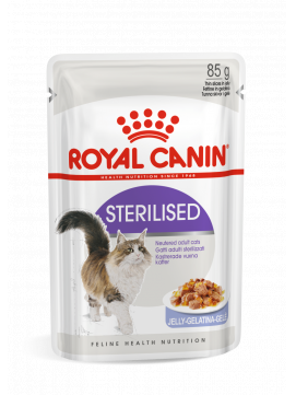 ROYAL CANIN Sterilised 85g karma mokra w galaretce dla kotów dorosłych, sterylizowanych