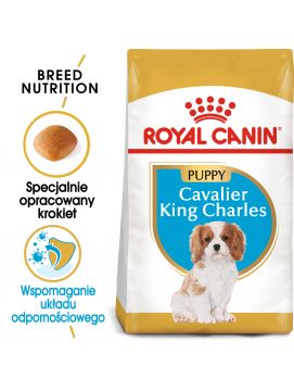ROYAL CANIN Cavalier King Charles Spaniel Puppy Karma sucha Dla Szczeniąt Do 10 miesiąca Rasy Cavalier King Charles Spaniel 1,5 kg