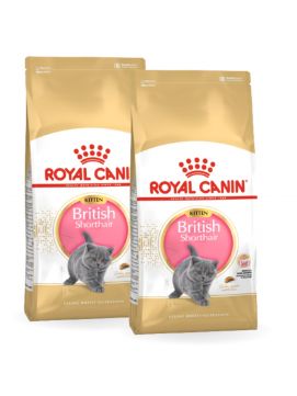 Pakiet ROYAL CANIN British Shorthair KittenKarma Sucha Dla KocitDo 12 miesica Rasy Brytyjski Krtkowosy 2 x 2 kg